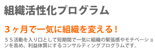 ３ヶ月で一気に組織を変える！５Ｓ活動を入り口として短期間で一気に組織の緊張感やモチベーションを高め、利益体質にするコンサルティングプログラムです。