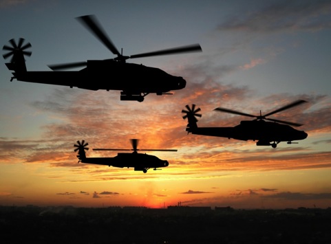 虫の目 鳥の目 魚の目 本当の多角的視点とは 経営改善支援センターオフィシャルサイト