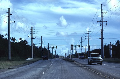 虫の目 鳥の目 魚の目 本当の多角的視点とは 経営改善支援センターオフィシャルサイト